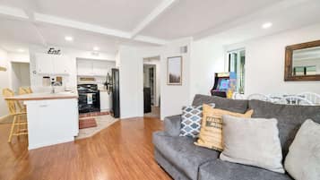 Télévision, cheminée, jeux vidéo, lecteur de DVD