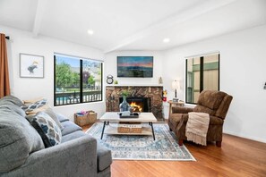 TV, fireplace, video games, DVD player