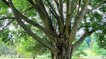 Enceinte de lâhĂ©bergement