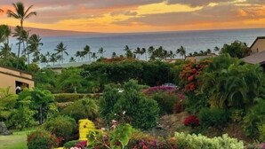 A garden with tropical plants and a view of the ocean at sunset.