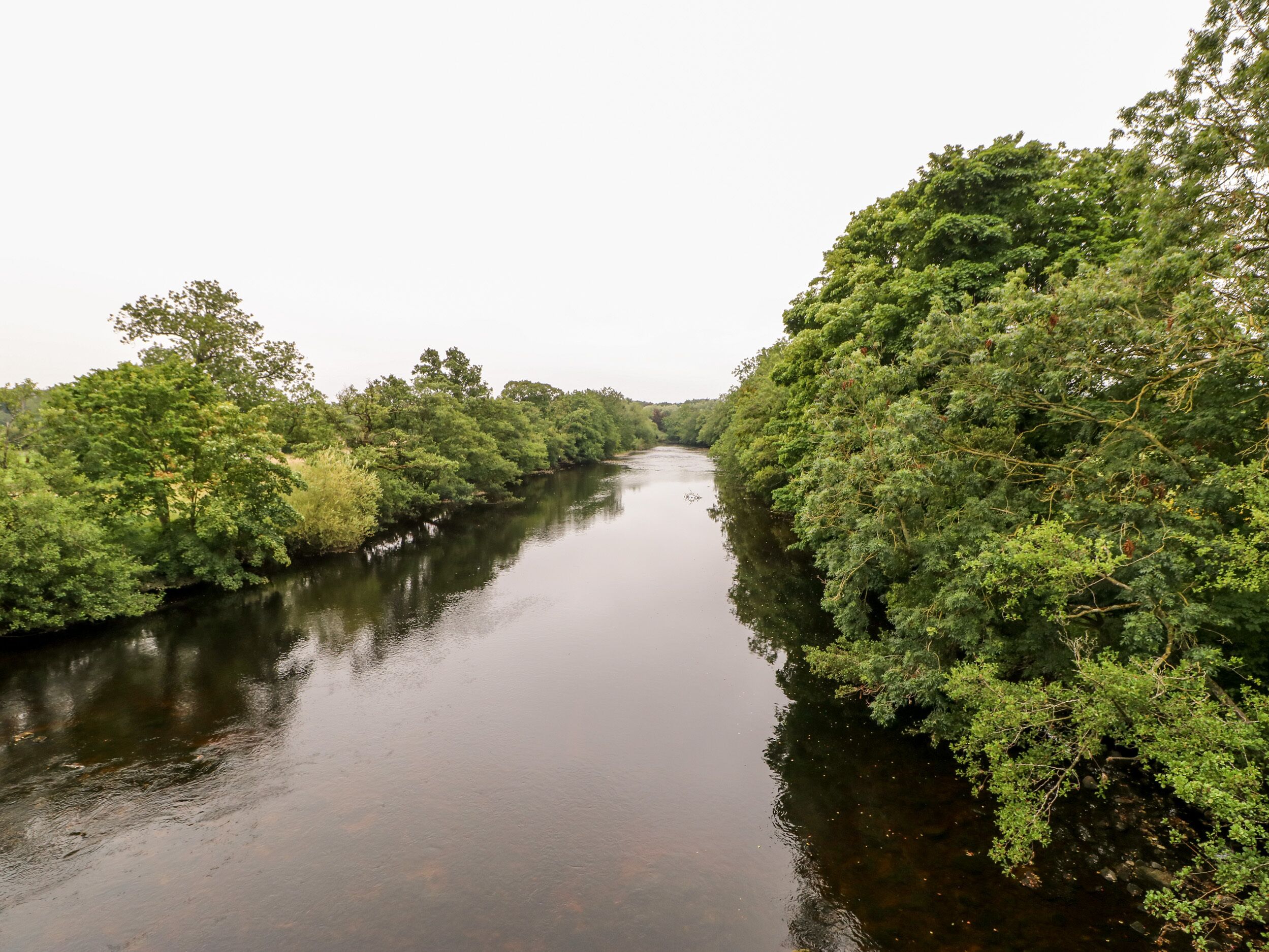 A river flanked by dense greenery.