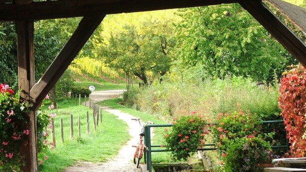 A pathway leading through a garden with a bicycle parked by a green fence. - Le Prévôt **** Maison 1603 , Charm and luxury between Riquewihr and Ribeauvillé (Hunawihr)