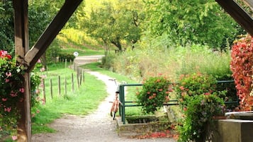 Overnattingsstedets uteområder
