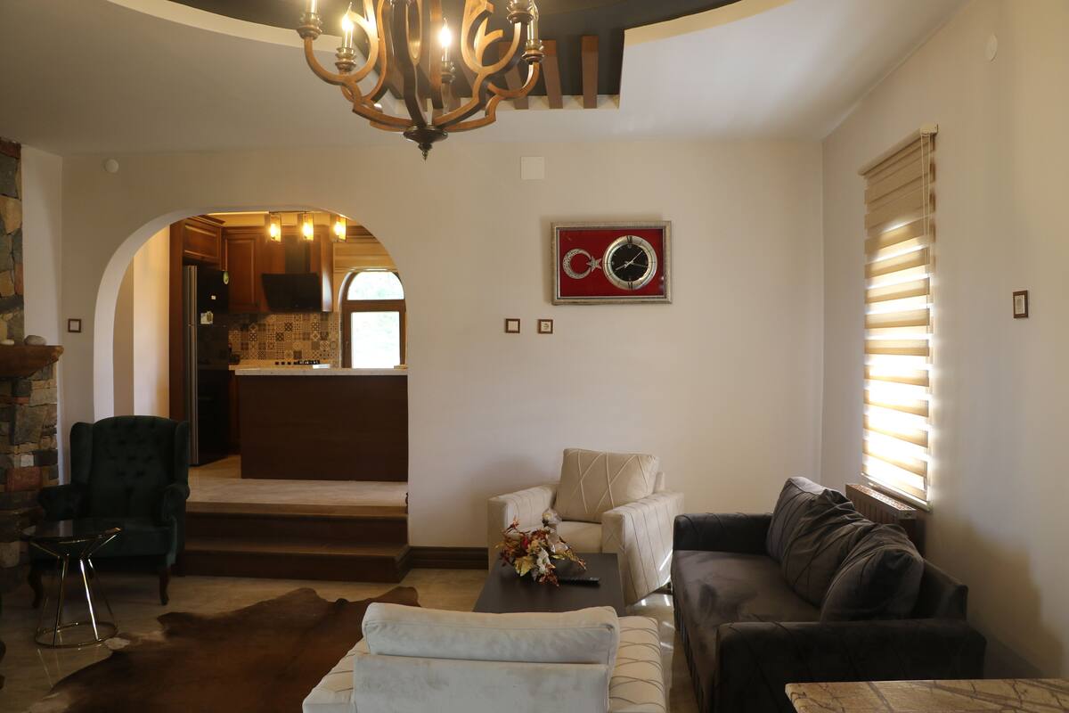 Family House | Living area