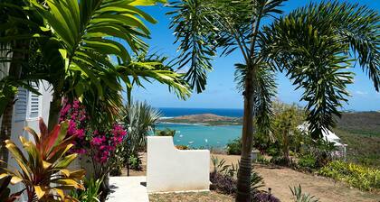 Ocean Views