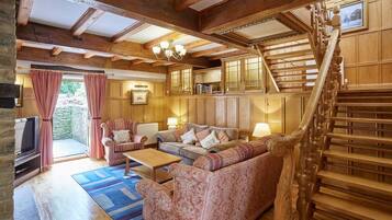 Télévision, cheminée, livres