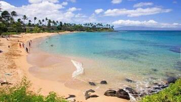 Condo, 3 Bedrooms | Beach | Beach nearby