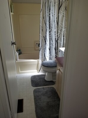 Combined shower/tub, hair dryer, towels, soap