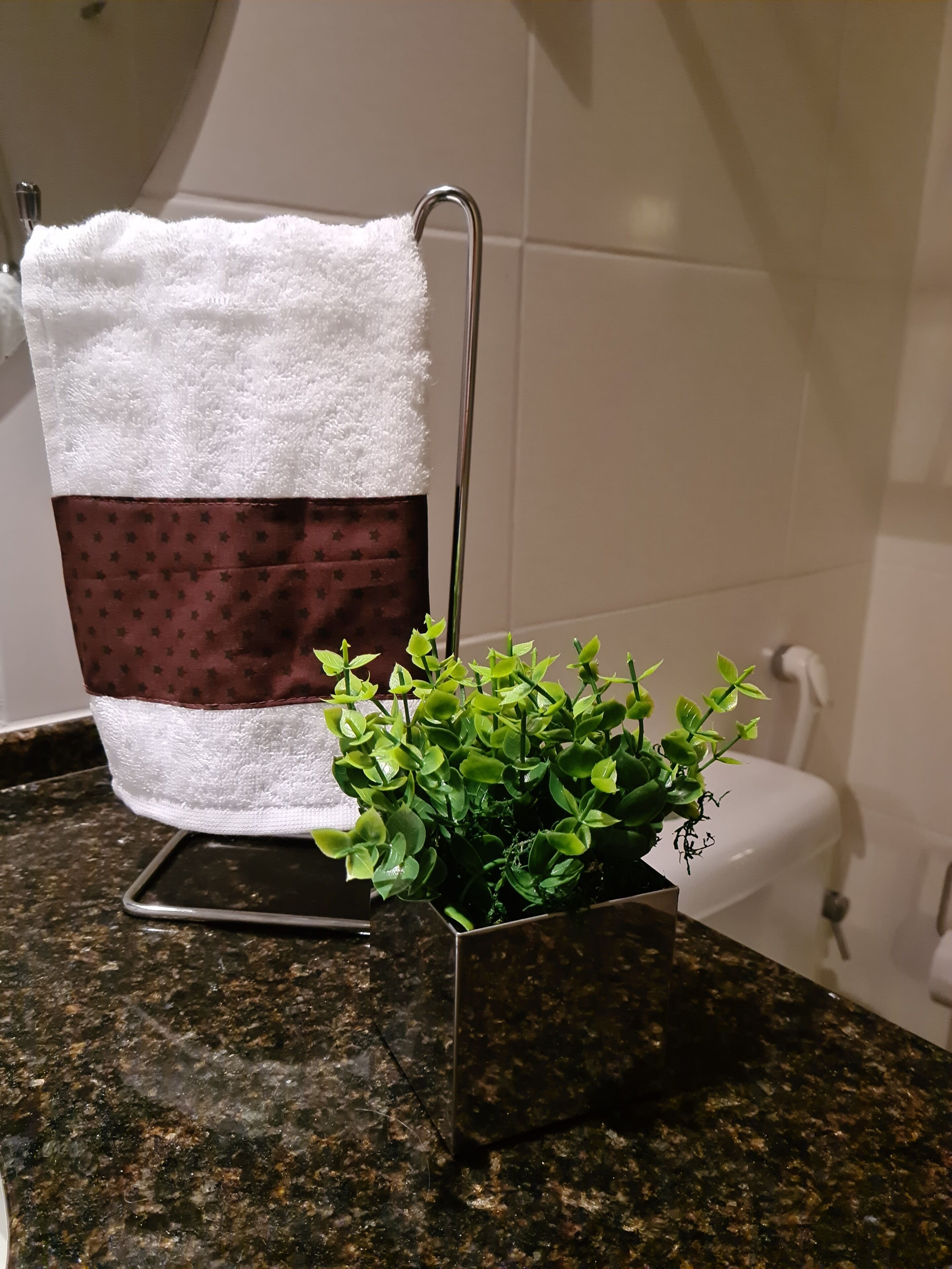 Casa de banho com um porta-toalhas, uma toalha branca com faixa castanha, uma planta num vaso sobre um balcão de granito e uma sanita branca.