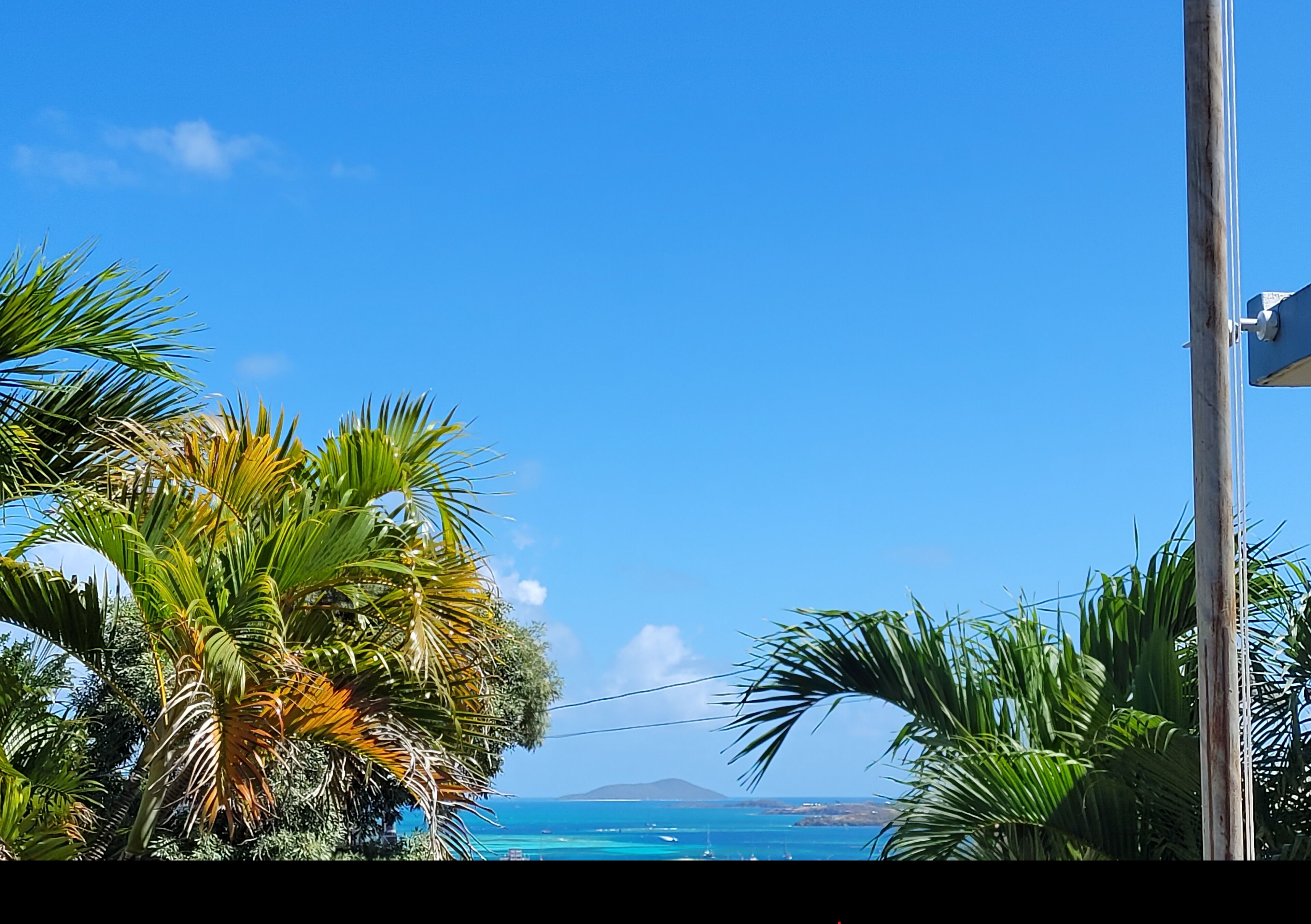 A clear view of a coastal landscape with palm trees and a distant mountain.