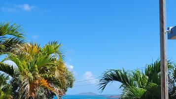 A clear view of a coastal landscape with palm trees and a distant mountain.