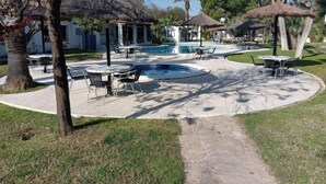 A pool area with lounge chairs and umbrellas, surrounded by trees and a building in the background. - R121 Apartamento Alorda Park (Calafell)