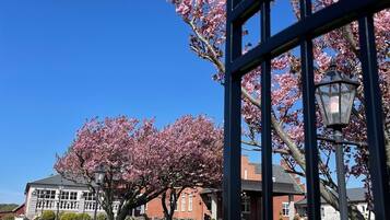 Double Room | Terrace/patio