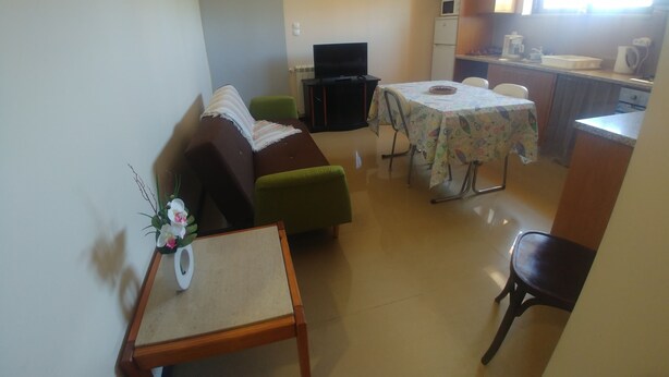 A compact living space with a sofa, a small table with a vase of flowers, a dining table with chairs, a TV, and a kitchenette.