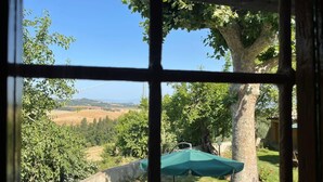 Visão pela janela de um jardim com mesa e cadeiras sob um guarda-sol verde, cercado por árvores e uma parede de pedra.