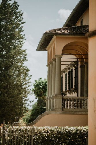 The sycamore is located within the grounds of the historic Villa Meleto