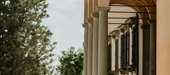 The sycamore is located within the grounds of the historic Villa Meleto