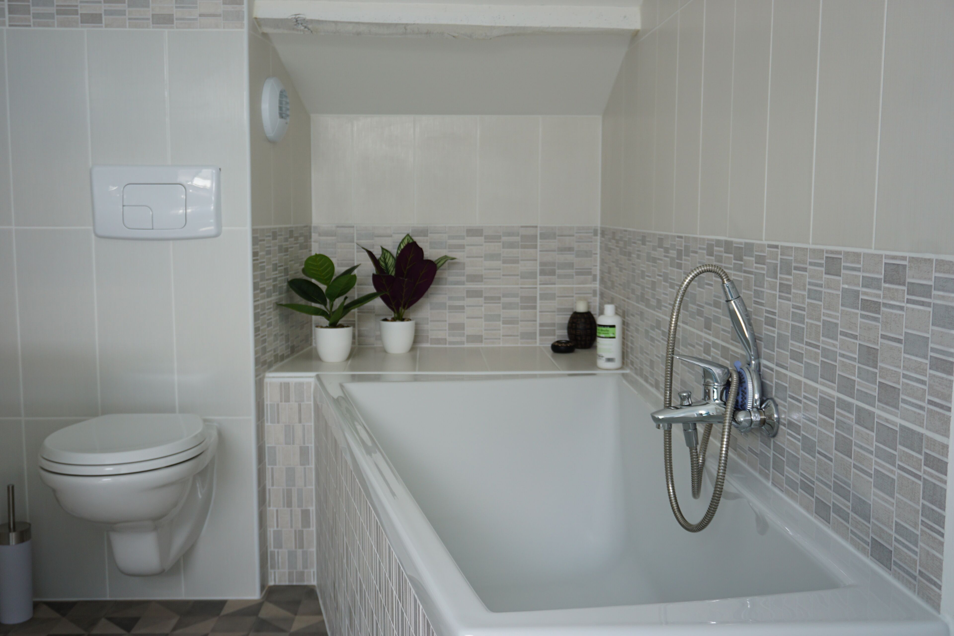 Une salle de bain avec des toilettes blanches, une baignoire équipée d’un pommeau de douche et deux plantes en pot posées sur le comptoir.