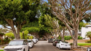 Een straat met bomen, geparkeerde auto's en een stopteken.
