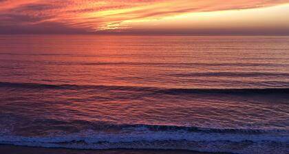 Oceanfront Dolphin Views at the Edge of the USA. 2-Bed 1-Bath Pet-Friendly.