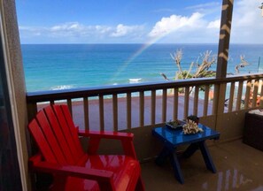 Property grounds - Oceanfront Dolphin Views at the Edge of the USA. 2-Bed 1-Bath Pet-Friendly. (Encinitas)