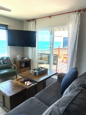 Smart TV, fireplace, books - Oceanfront Dolphin Views at the Edge of the USA. 2-Bed 1-Bath Pet-Friendly. (Encinitas)