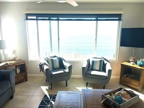 Smart TV, fireplace, books - Oceanfront Dolphin Views at the Edge of the USA. 2-Bed 1-Bath Pet-Friendly. (Encinitas)