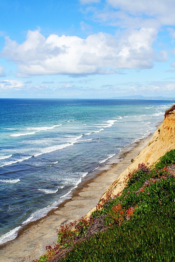 On the beach, sun loungers, beach towels - Oceanfront Dolphin Views at the Edge of the USA. 2-Bed 1-Bath Pet-Friendly. (Encinitas)