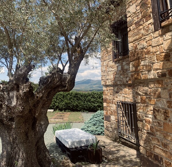 Property grounds - Marute Home ·disconnect to Reconnect· (Madrid)