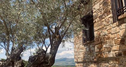 Marute Home ·disconnect to Reconnect·