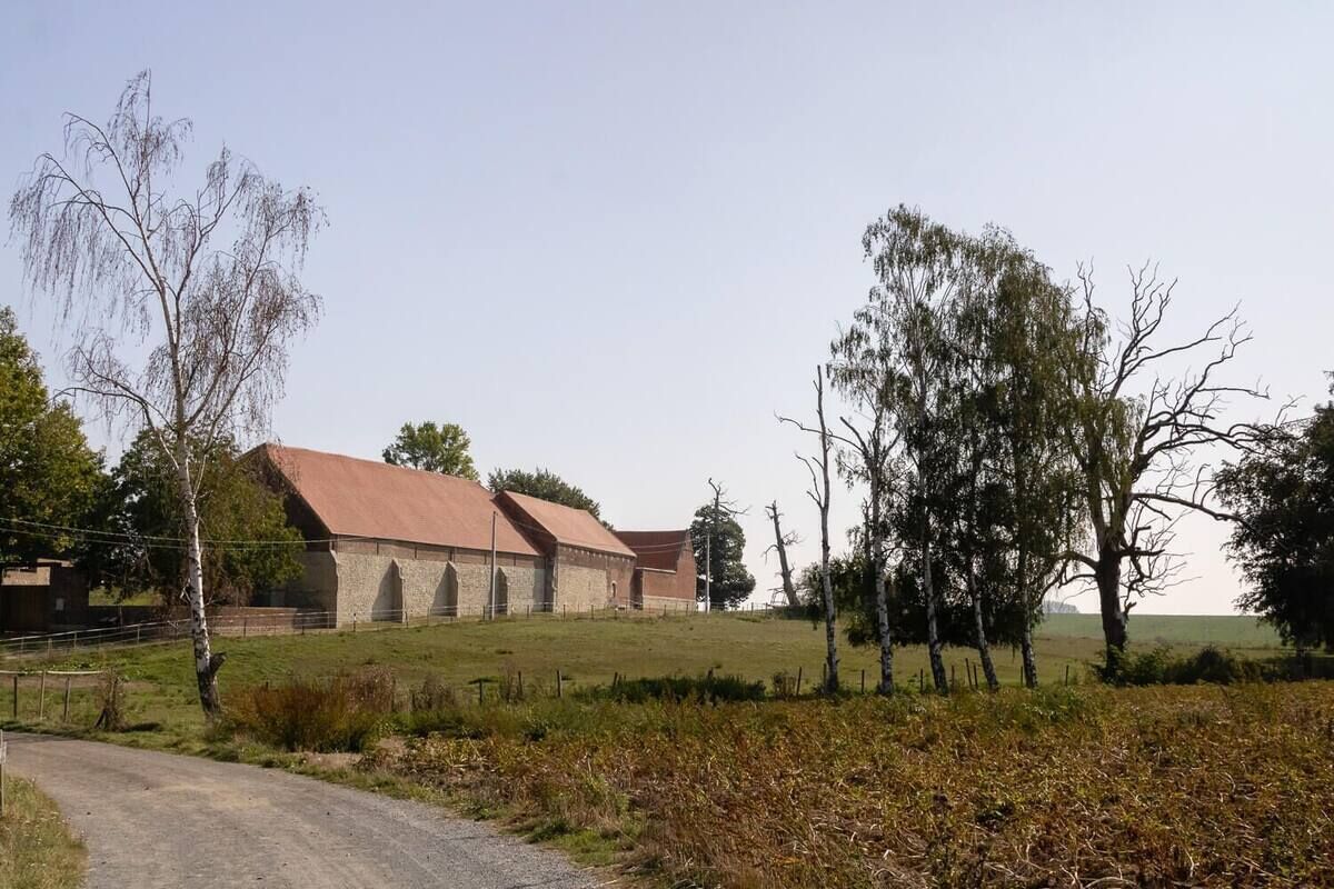 Garten & Außenbereich