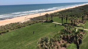 A coastal landscape with a beach, grassy areas, and palm trees. - Luxurious Ocean- Front 5th Floor – 3/3 Corner Unit – Sleeps 8 (Palm Coast)