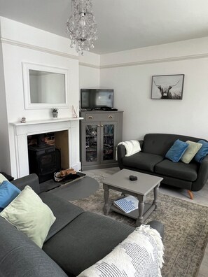 Smart TV, chimenea, reproductor de DVD, libros