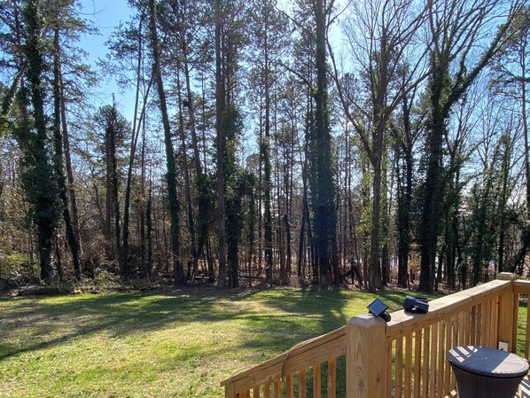 A wooden deck with a view of a forested area.