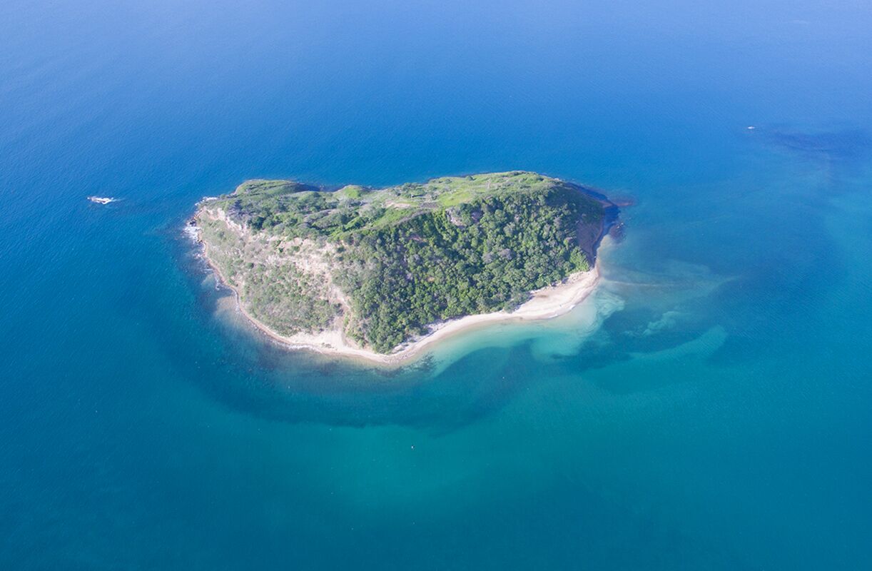An aerial view of a small, lush island with a narrow beach and clear blue waters.