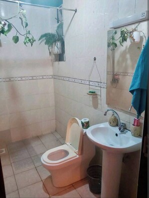 Ducha, secador de pelo, toallas y jabón