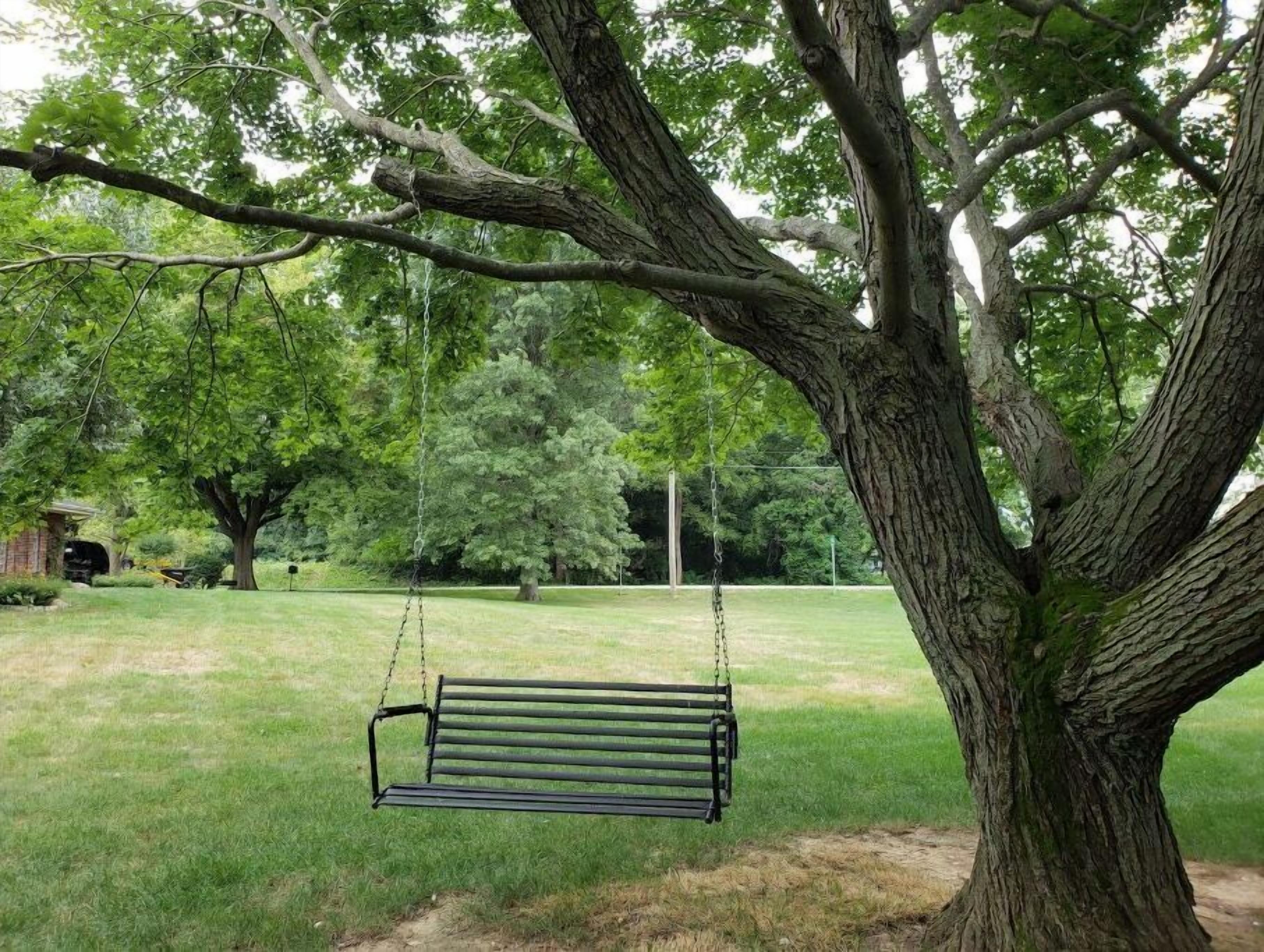 Eine Schaukel hängt an einem großen Baum in einem Park.