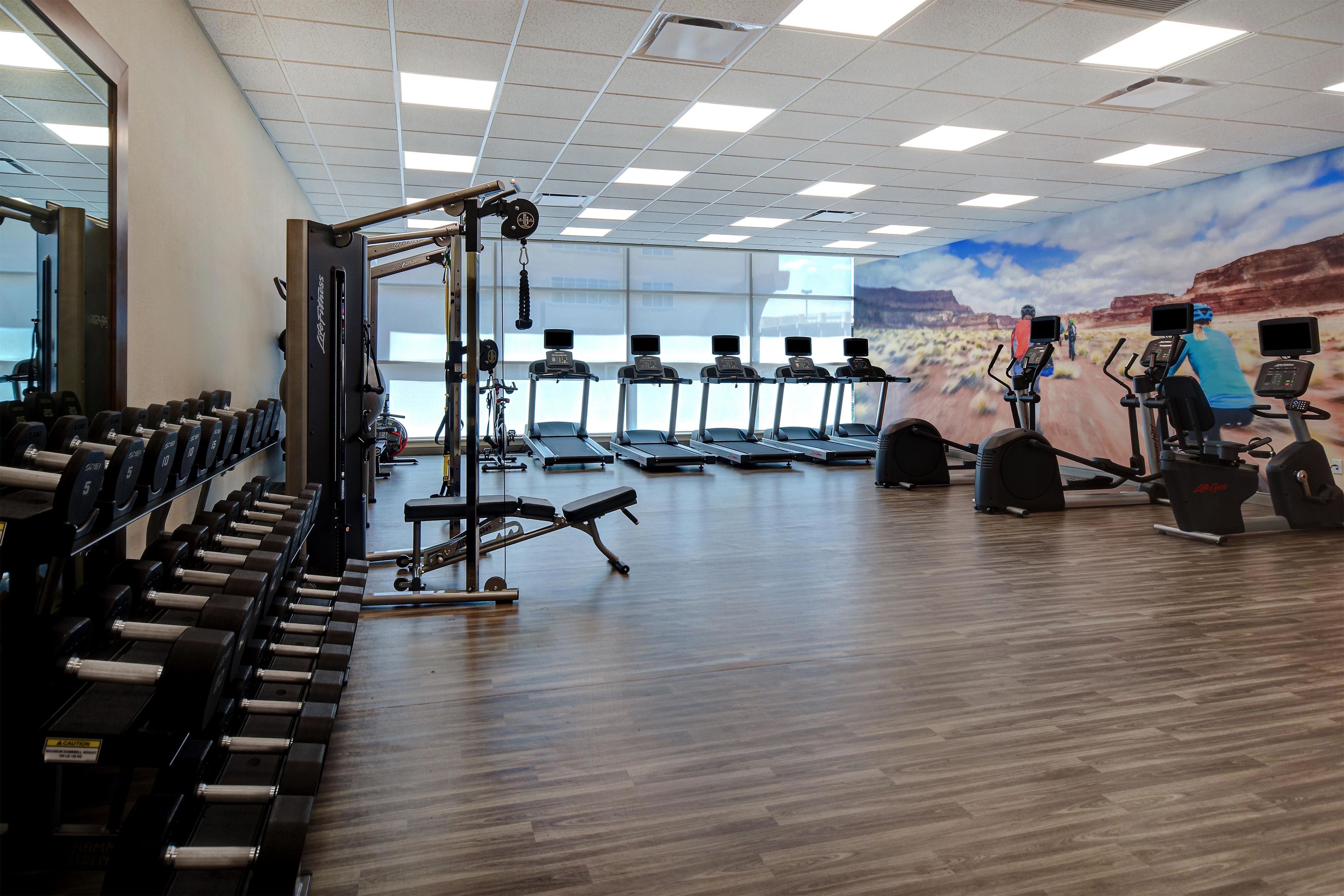 A gym with treadmills, weight machines, and dumbbells.