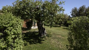 A well-maintained garden with a variety of trees and shrubs, a clear pathway, and a building in the background. - Karrua House cottage with pool in Modica (Modica)