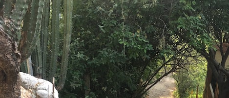 Área da propriedade