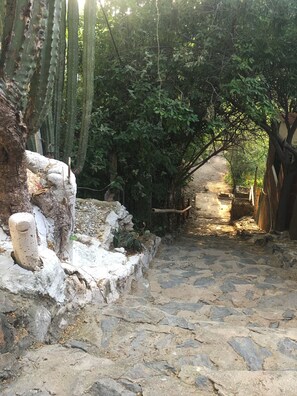 Un chemin de pierres qui traverse un jardin où l’on trouve des cactus et une végétation luxuriante.