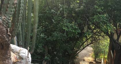 Caribbean house, near the sea