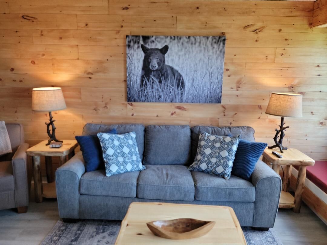 Fernseher, Kamin