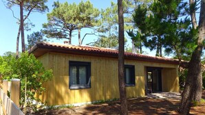 A wooden cabin with a tiled roof, surrounded by pine trees.