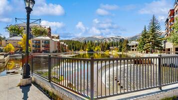 Terrain de l’hébergement