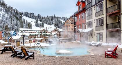 Mountain View Studio w/ Gas Fireplace, and High-Speed WiFi