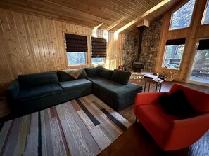 TV connectée, cheminée, livres