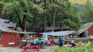 An outdoor dining area with tables and chairs, surrounded by trees and a rustic building with a metal roof. - Sierra City Loves Falls Cabin - Walking Distance to Waterfall & PCT (Sierra City)