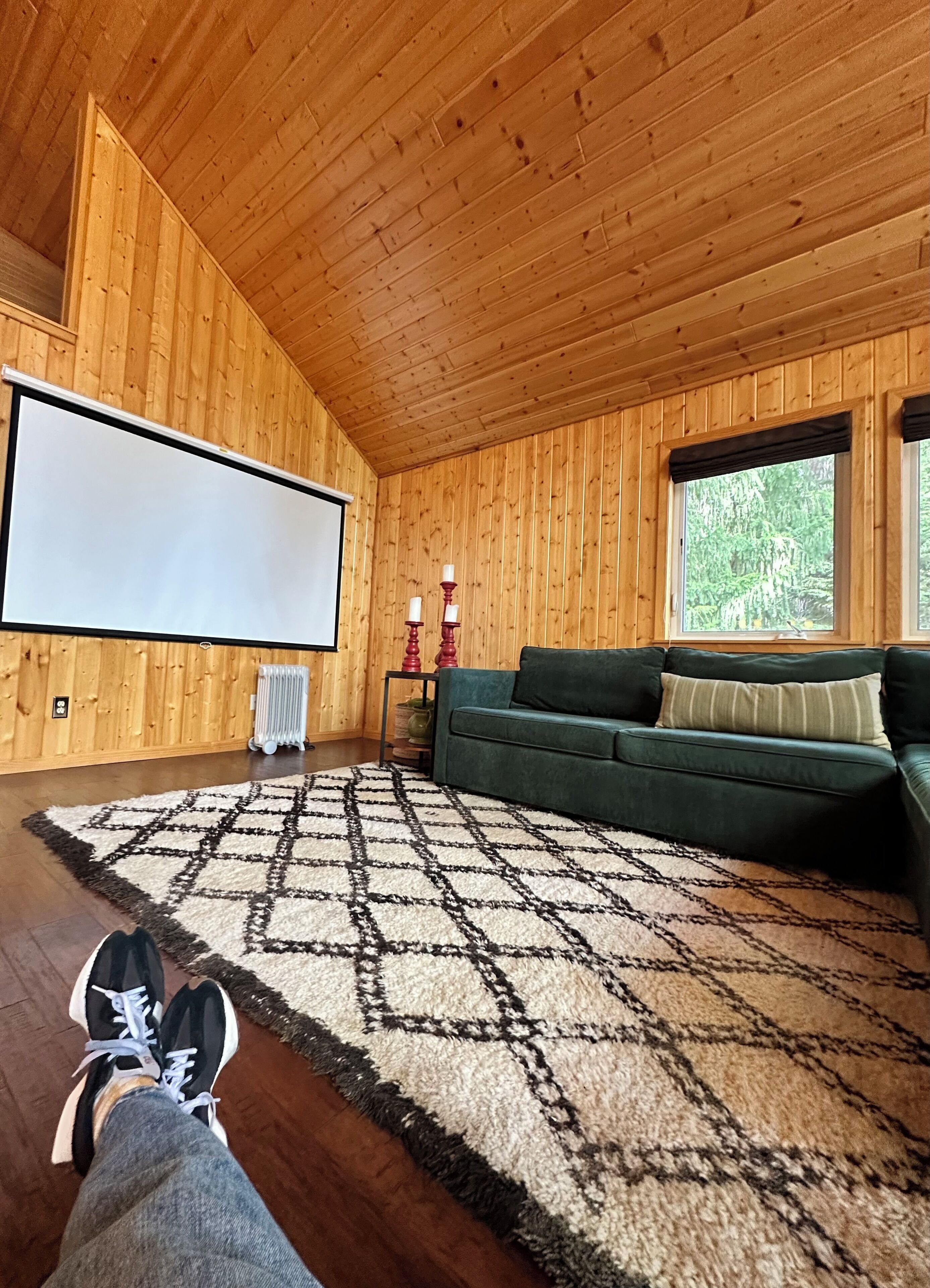 Smart TV, chimenea, libros
