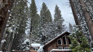 A cabin with a deck and a balcony, surrounded by tall pine trees covered in snow. - Sierra City Loves Falls Cabin - Walking Distance to Waterfall & PCT (Sierra City)